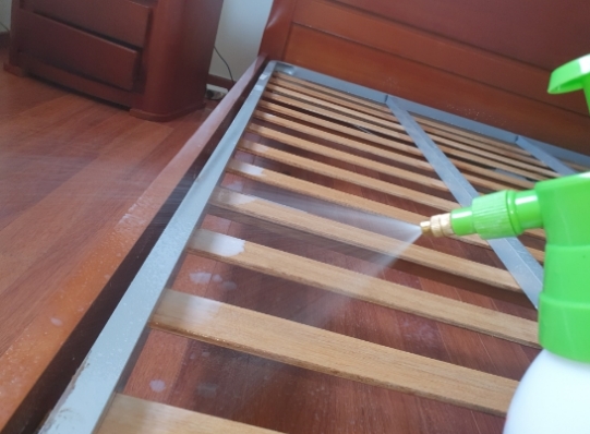 punaises-de-lit-1-