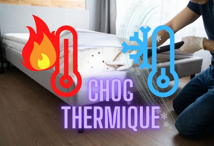 traitement thermique punaise de lit